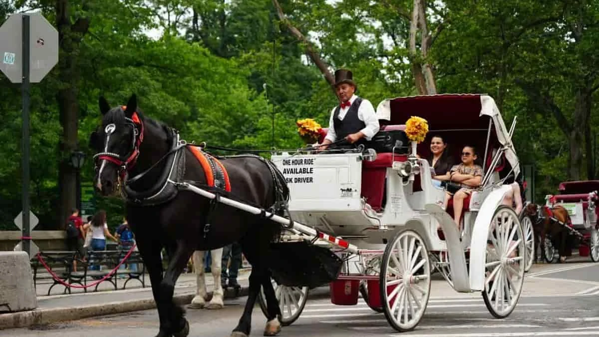 New York Horse Carriage Ban: Rides to End by June 2028
